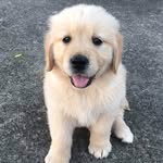German Barry - @germanbarry2 - Instagram