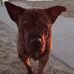 Barry Germond - Facebook