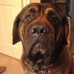 Barry Rogerson - @barry.rogerson1956 - Instagram