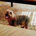Barry Gerenski - Facebook