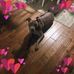Barry Watson - Facebook