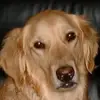 Barry Glenn - @barry.glenn2 - TikTok