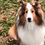 Barry J. Glickman - @macbjg - Instagram