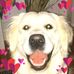 Barry Gluck - Facebook