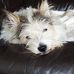 Barry Goddard - Facebook