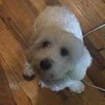 Barry Gonzalez - @itsbarrygonzalez - Instagram