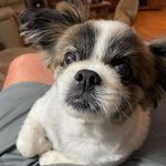 Barry C Gooch - @barrycgooch - Instagram