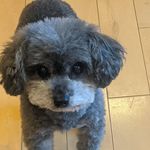 Barry gooding - @goobar610 - Instagram