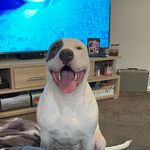 @barrygooding_ - Instagram