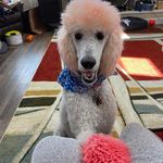 Barry Gore - @barry.gore.5811 - Instagram