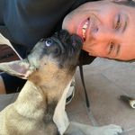 Zircone-sancho Zircone-sancho - @barry_gorelli58 - Instagram