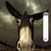 Barry Goss - Facebook