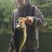 Barry Goodreau - Facebook