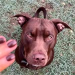 Barry Bonser - @barrys.gram - Instagram