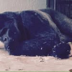 Barry Grant - @barrygrant212 - Instagram