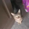 Barry Griffith's - @barry.griffiths81 - TikTok