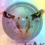 Barry Griggs - @eagleeyephotography007 - Instagram
