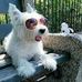 Barry Griggs - Facebook