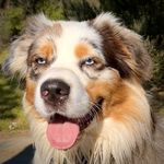 Barry Groves - @bazgroves - Instagram
