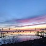 Barry Groves - @barry.groves.378 - Instagram