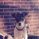 @barrygrubbs123 - Instagram