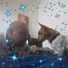 Barry Brummer - @barrybrum - TikTok