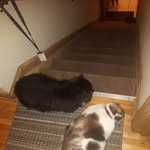 Barry Guthrie - @barry.guthrie.378 - Instagram