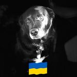 Barry Hague - @barry.hague.5283 - Instagram