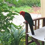 Barry Halpern - @barry.halpern.92 - Instagram