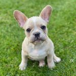 Barry Dwayne Hancock💙 - @barryhancock2020 - Instagram