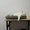 Barry Hansen - @barry.hansen - TikTok