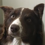 Barry Hardy - @barryhardy6 - Instagram