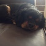 Barry - @barry.hayes - Instagram