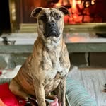Barry Hayes - @life_goes_on_2233 - Instagram