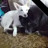barryhelm2 - @barryhelm2 - TikTok