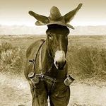 Barry Helms - @helmsbarry - Instagram