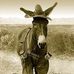 Barry Helms - Facebook
