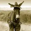 Barry Helms - @user574549114 - TikTok