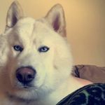 Koda - @koda_helms_barry - Instagram