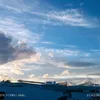 BarryHernandezppWy - @barryhernandezppw - TikTok