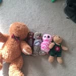 @hershy_man_and__barry - Instagram