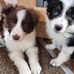 Barry Hewitt - Facebook