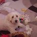 Barry Hewitt - Facebook
