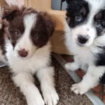 Barry Hewitt - @barry_hewitt - Instagram