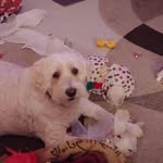 Barry Hewitt - @barry.hewitt.5209 - Instagram