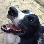 Barry Hewitt - @barry.hewitt.7 - Instagram