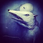Barry Hewitt - @k9knights - Instagram