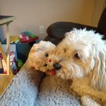Barry Hewitt - @samanthaforbes49 - Instagram