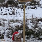 Barry Hewitt - @barry.hewitt.3950 - Instagram