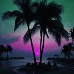 barry hill - @awtgsdhgde - Instagram